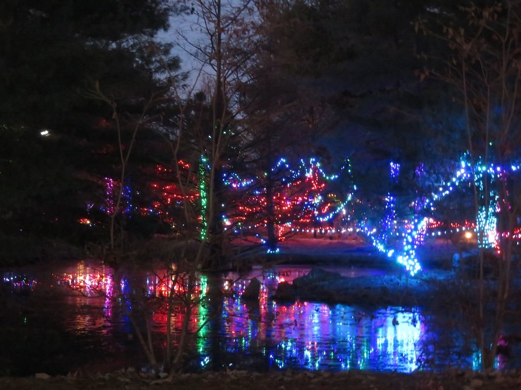 IMG_8821 2025 12.jPG