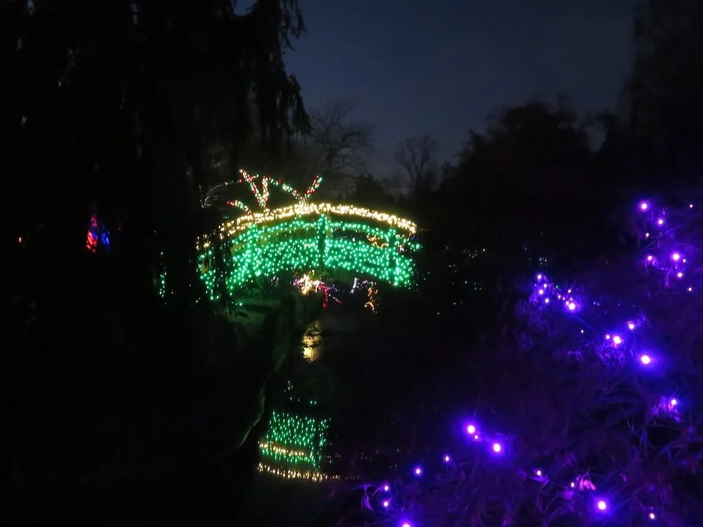 IMG_8827 2025 12.jPG