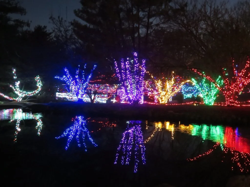 IMG_8834 2025 12.jPG