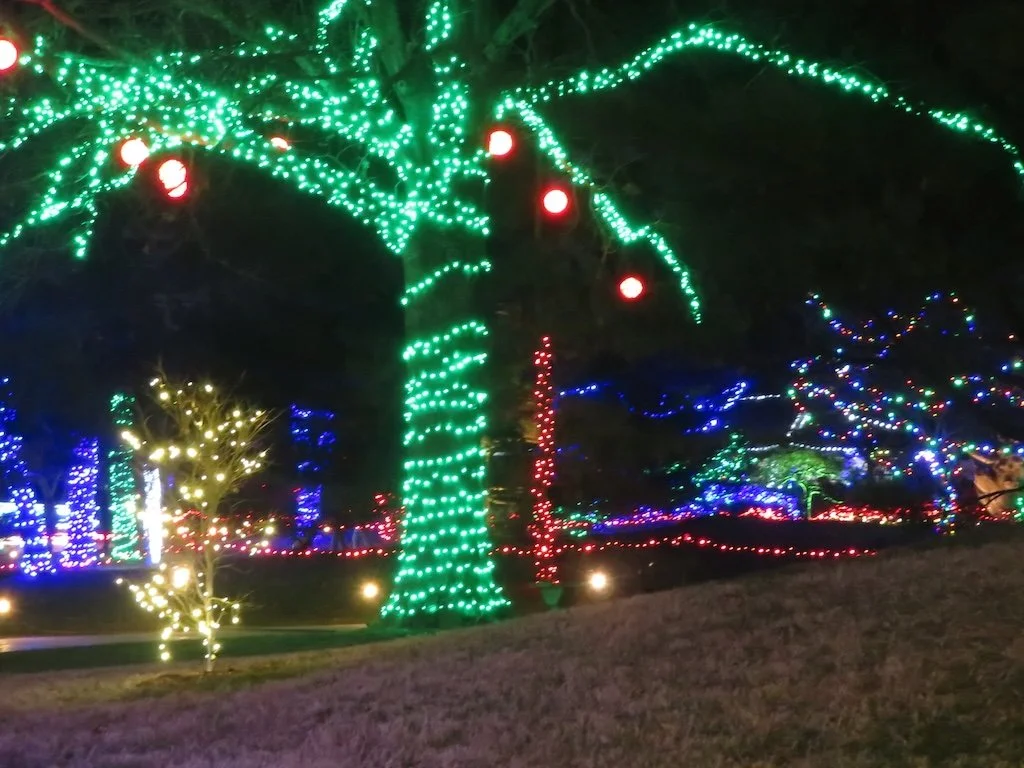 IMG_8841 2025 12.jPG