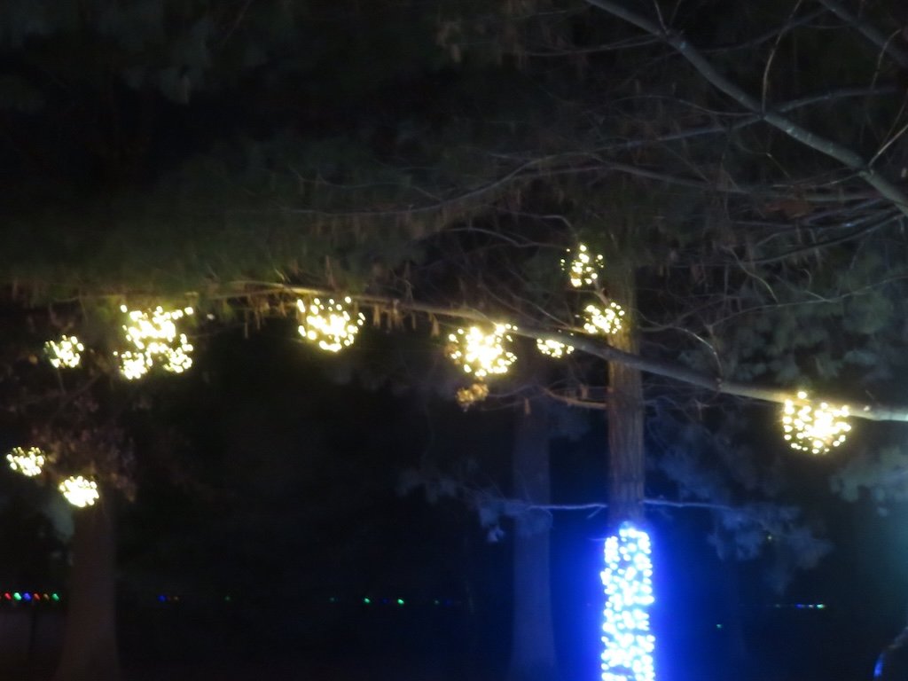 IMG_8847 2025 12.jPG