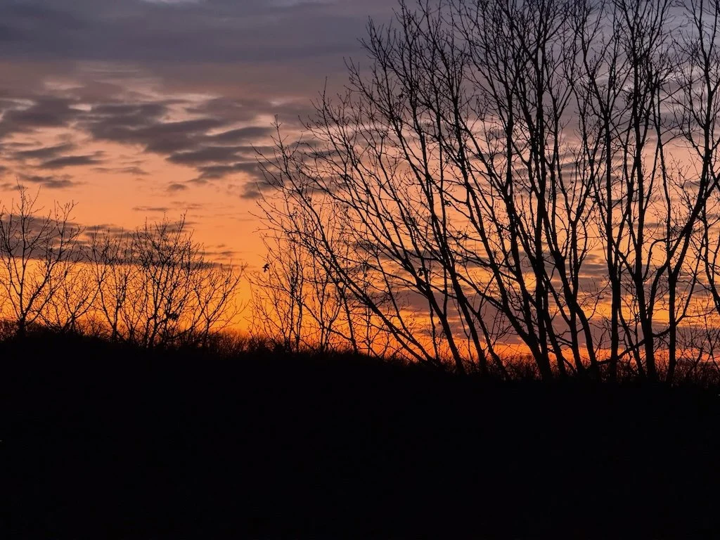 IMG_2641 2025 01.jpeg