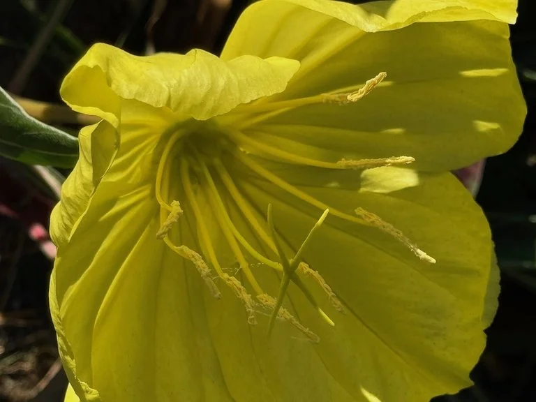 IMG_9940 2025 10.jpeg