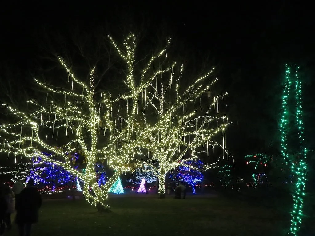 IMG_8840 2025 12.jPG