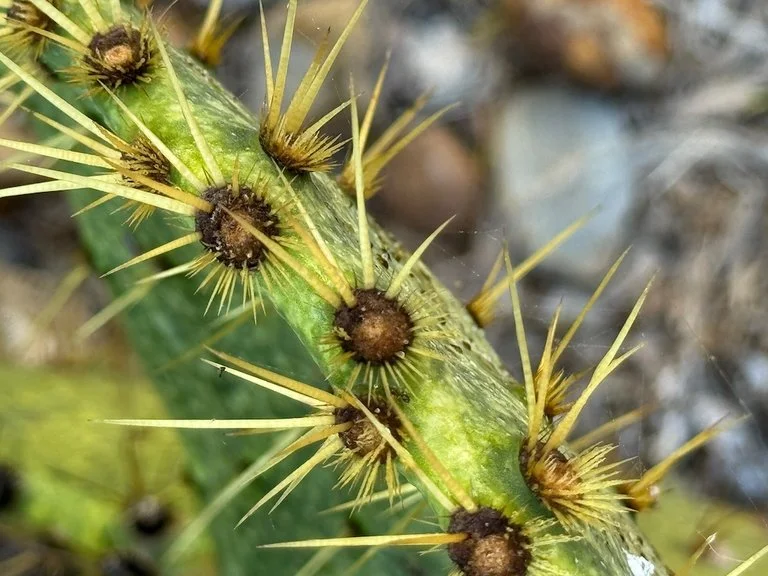 IMG_0505 2025 11.jpeg