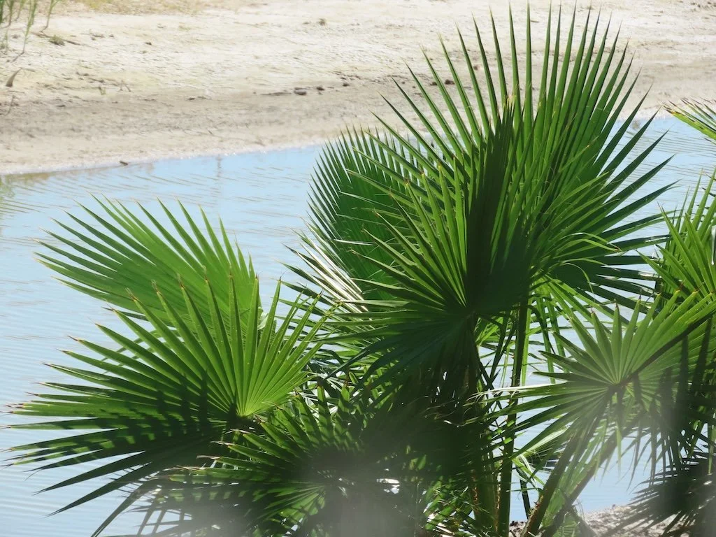 IMG_6298 2025 11.jPG