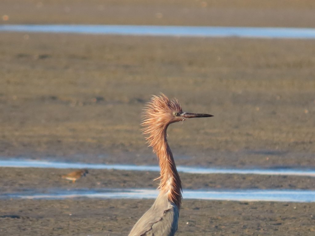 IMG_6444 2025 11.jPG