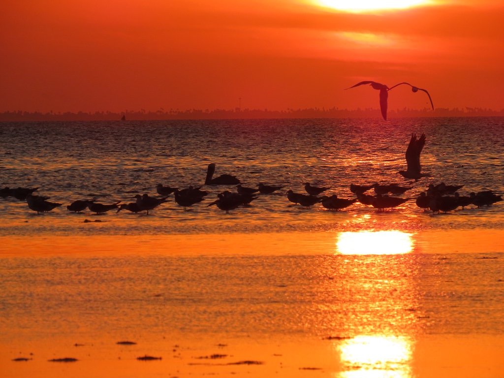 IMG_6624 2025 11.jPG