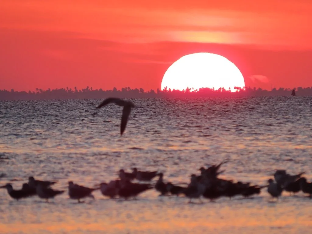 IMG_6692 2025 11.jPG