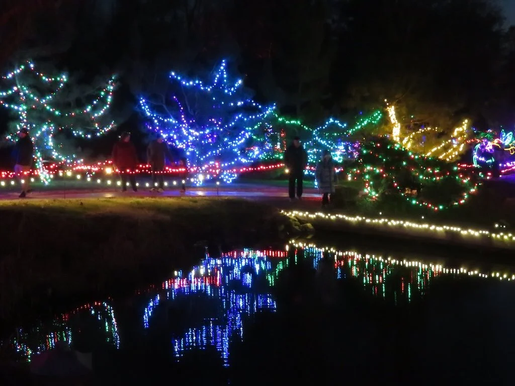 IMG_8833 2025 12.jPG