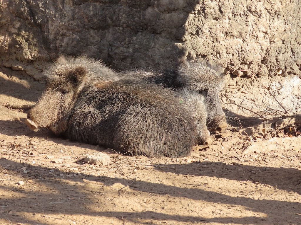 IMG_7351 2025 12.jPG