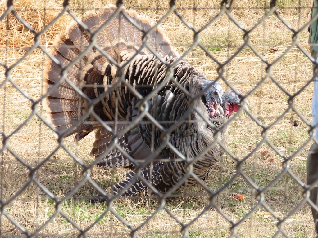 IMG_7357 2025 12.jPG