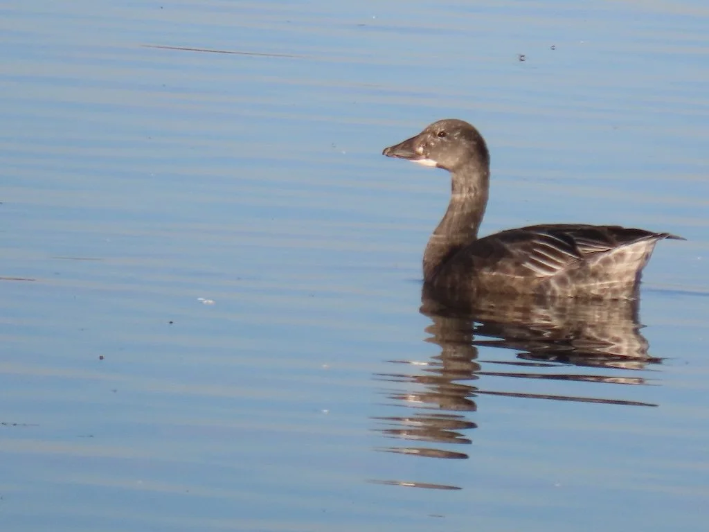 IMG_7573 2025 12.jPG