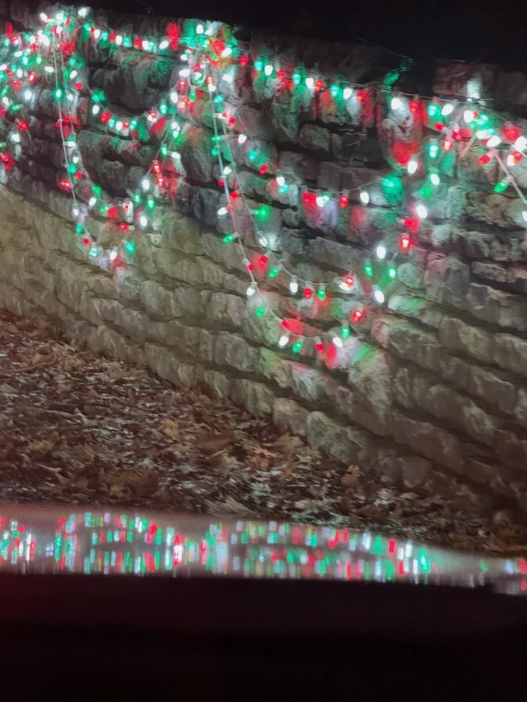 IMG_1048 2025 12.jpeg