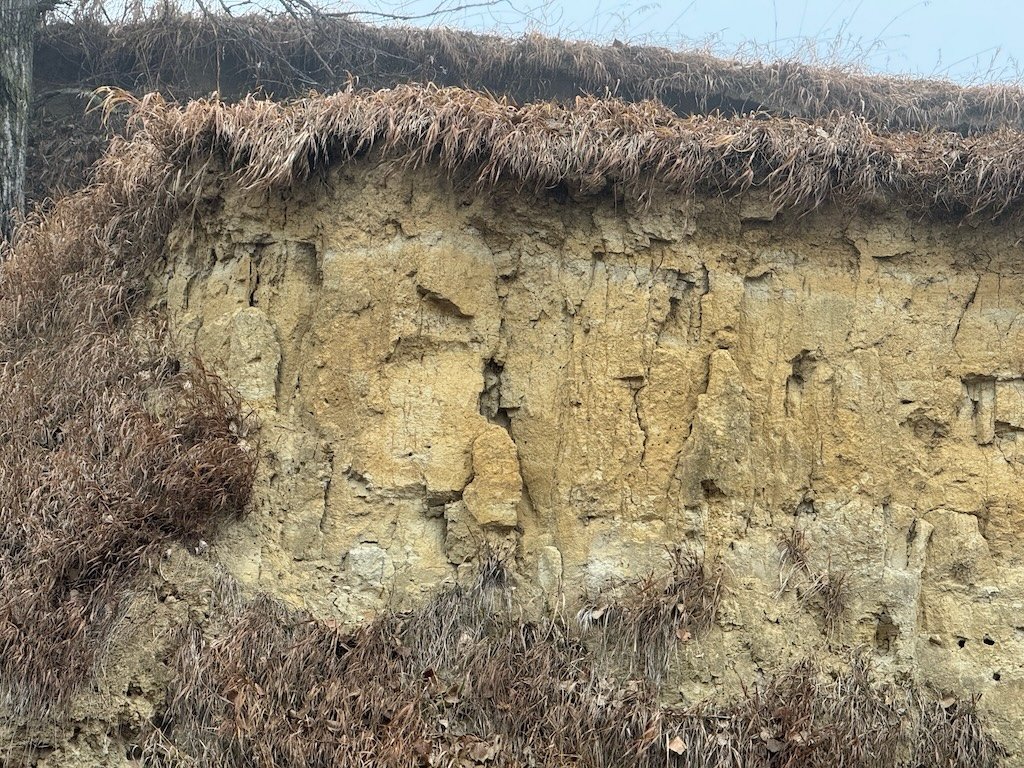 IMG_1062 2025 12.jpeg