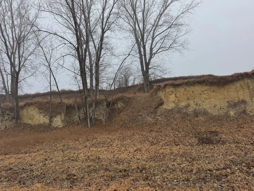 IMG_1067 2025 12.jpeg