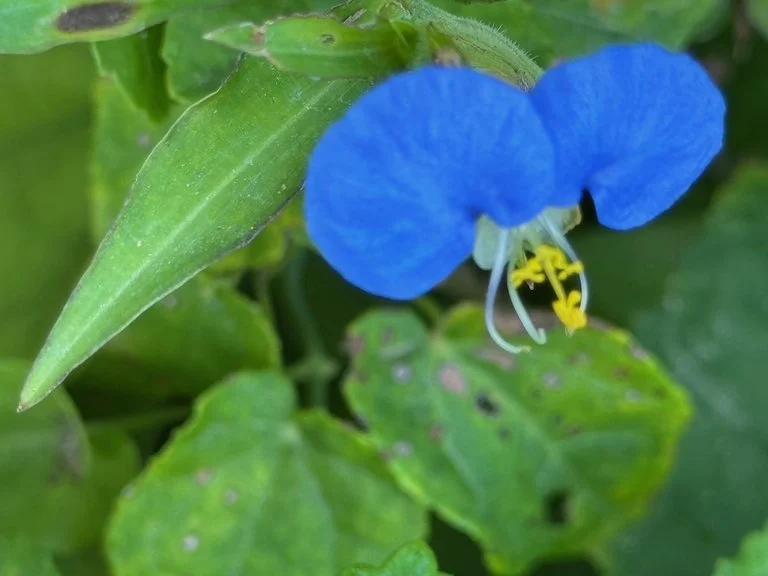 IMG_0452 2025 11.jpeg