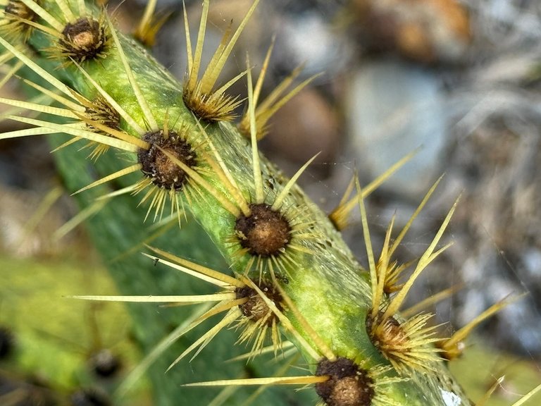 IMG_0505 2025 11.jpeg