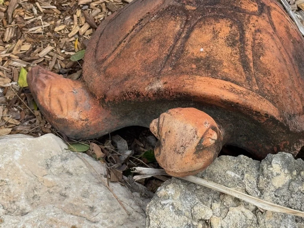 IMG_0529 2025 11.jpeg