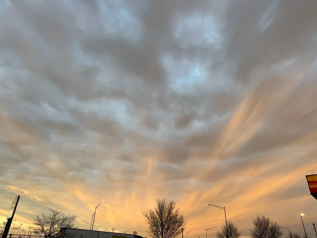 IMG_0883 2025 12.jpeg