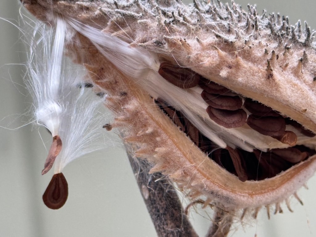 IMG_1079 2025 12.jpeg