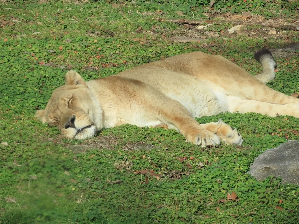 IMG_7387 2025 12.jPG