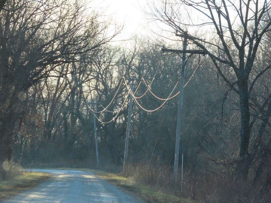 IMG_7612 2025 12.jPG