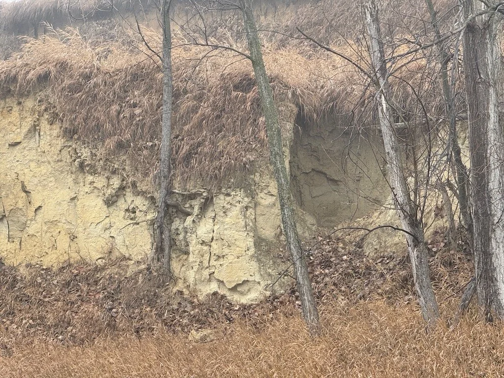 IMG_1065 2025 12.jpeg