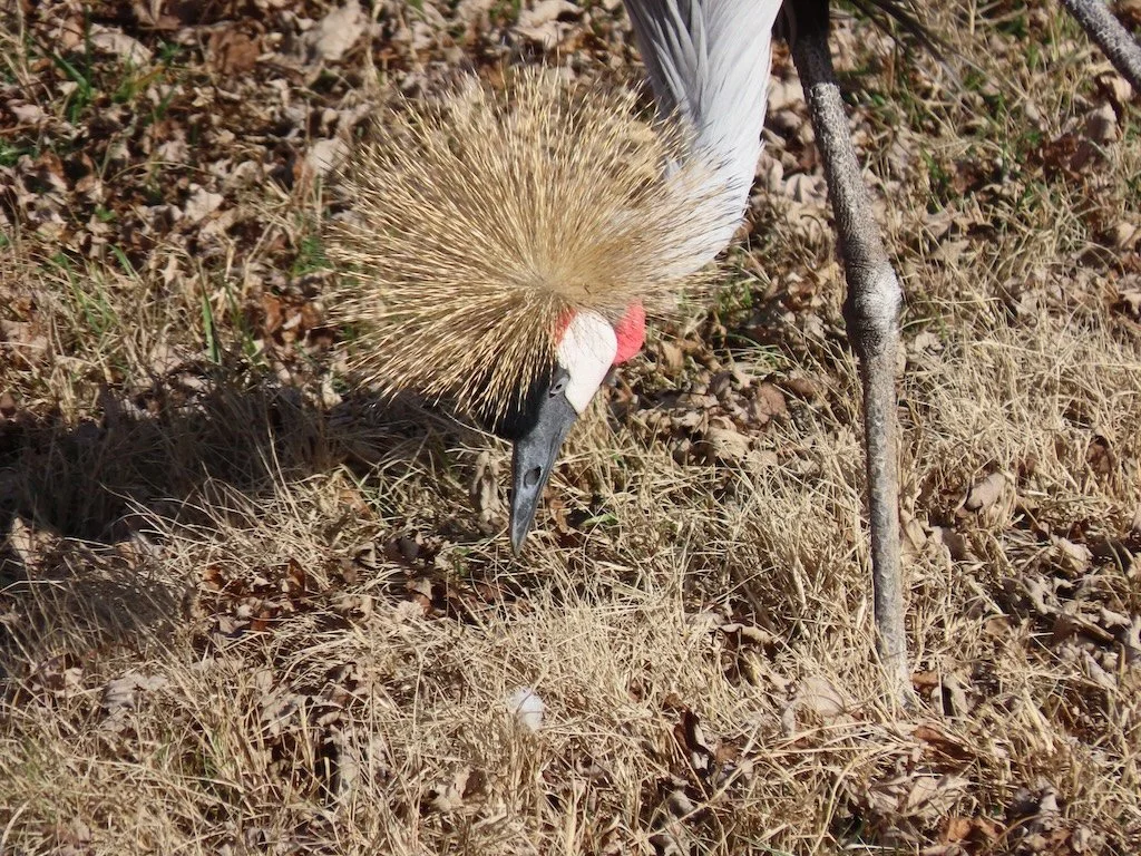 IMG_7372 2025 12.jPG