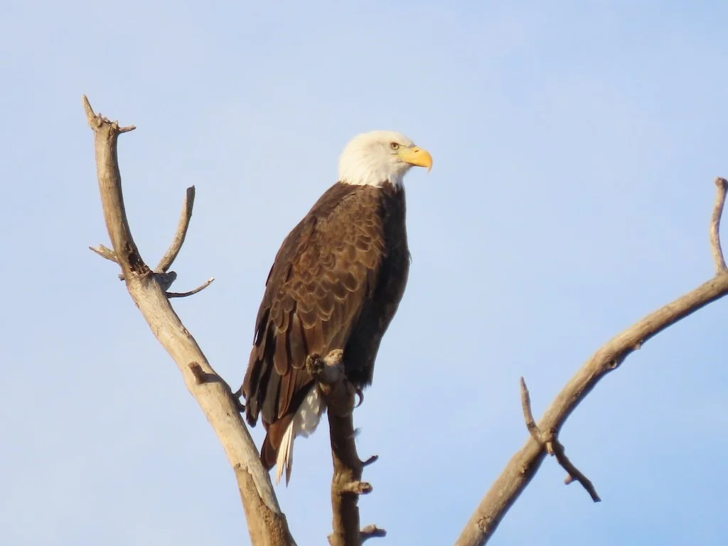 IMG_7581 2025 12.jPG