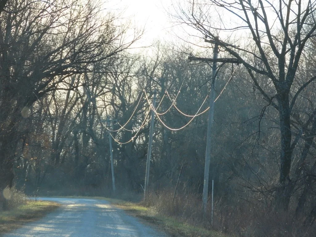 IMG_7612 2025 12.jPG