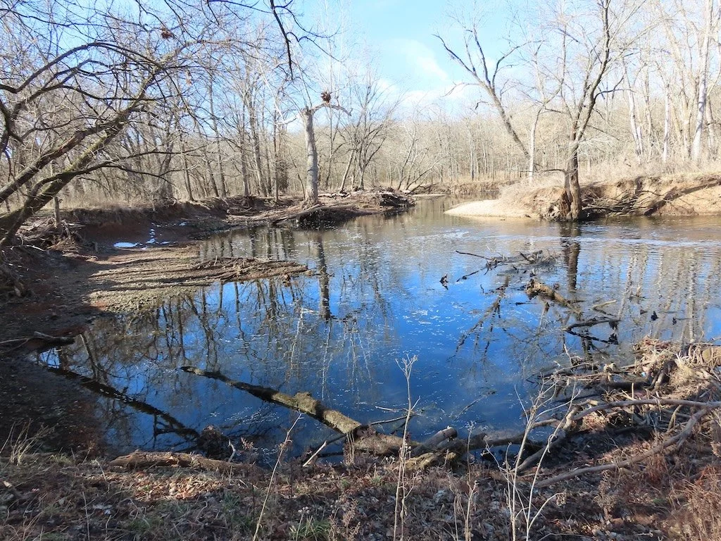 IMG_8133 2026 02.jPG