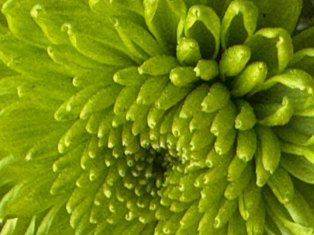 IMG_1473 2026 02.jpeg