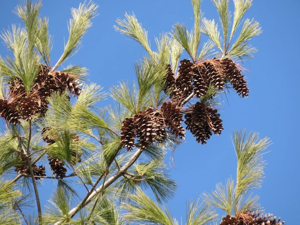 IMG_8944 2026 02.jPG