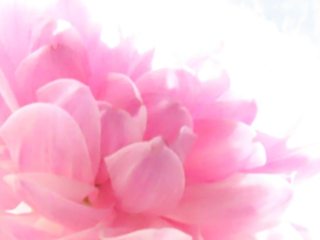 IMG_8299 2026 02.jPG