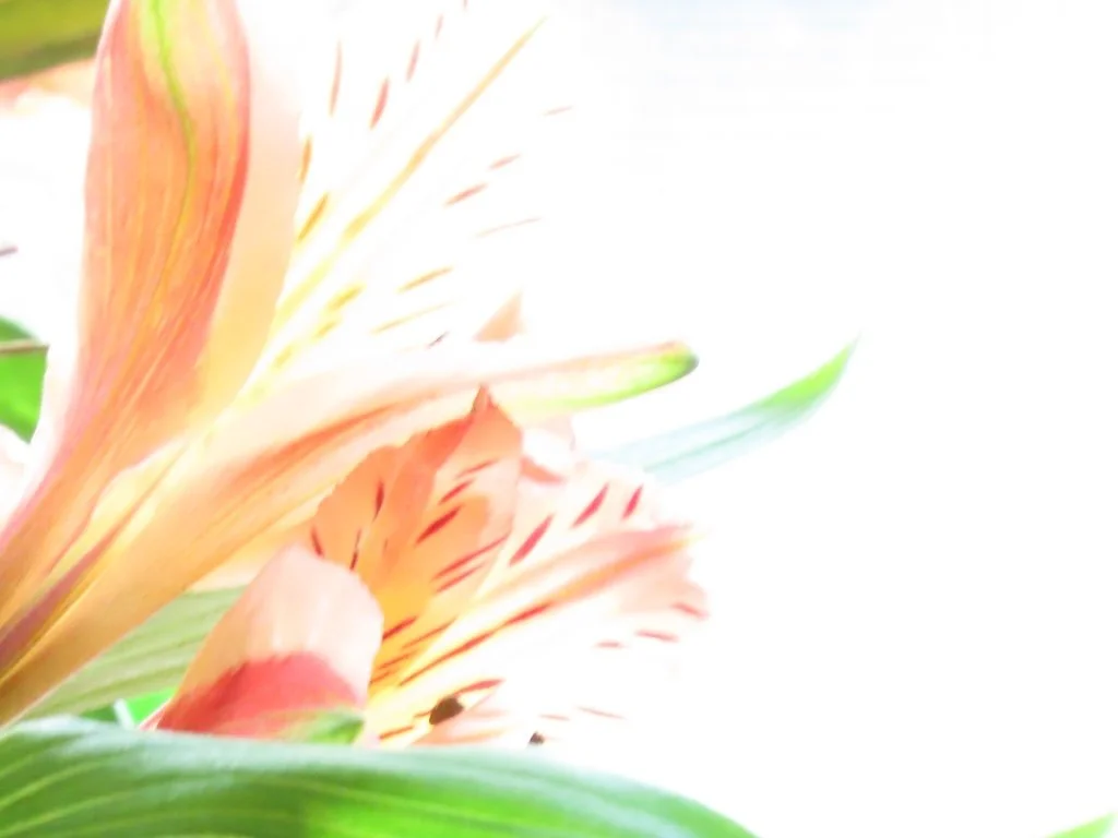 IMG_8304 2026 02.jPG