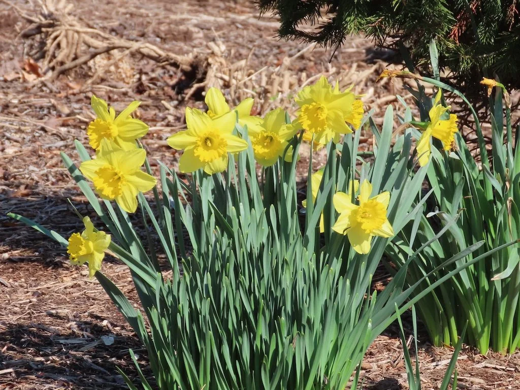 IMG_8502 2026 03.jPG