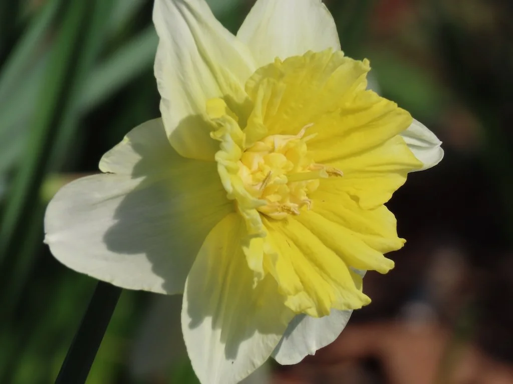 IMG_8589 2026 03.jPG