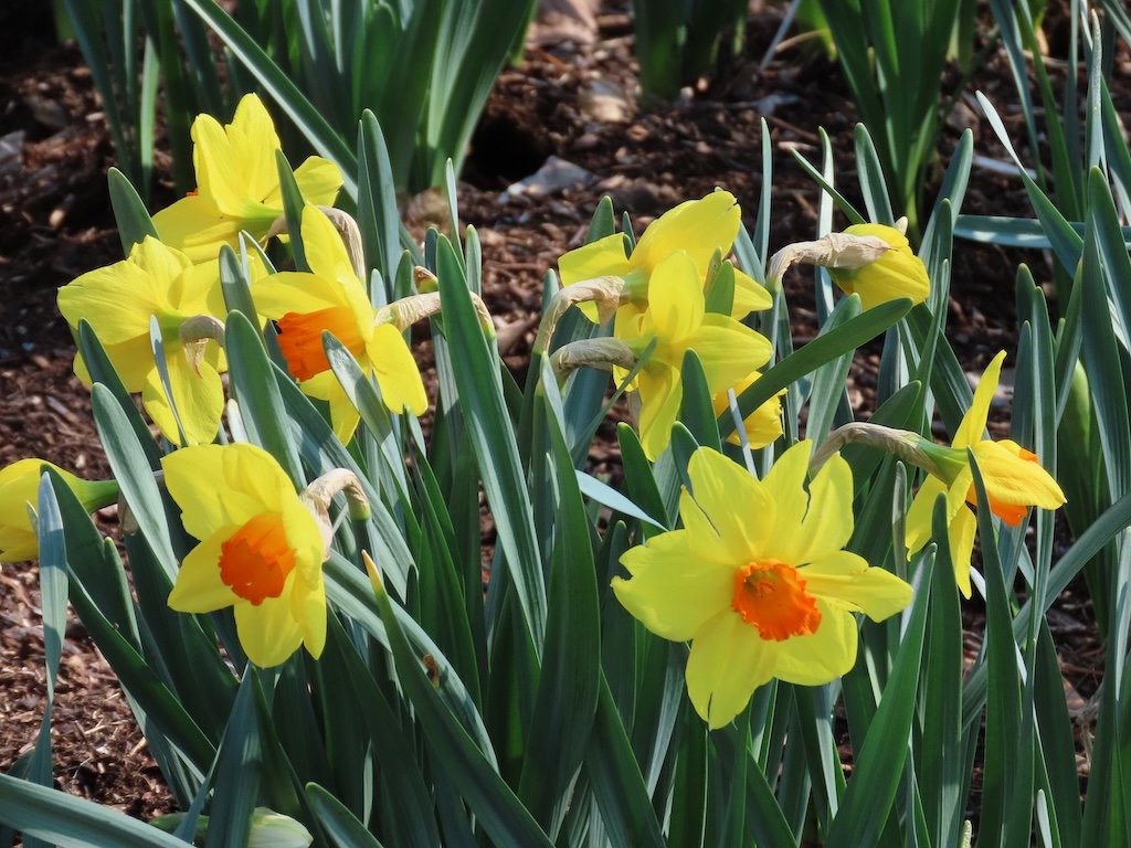 IMG_8592 2026 03.jPG