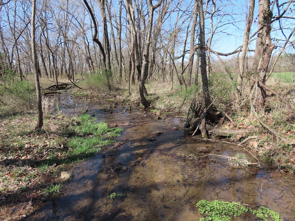 IMG_8774 2026 03.jPG