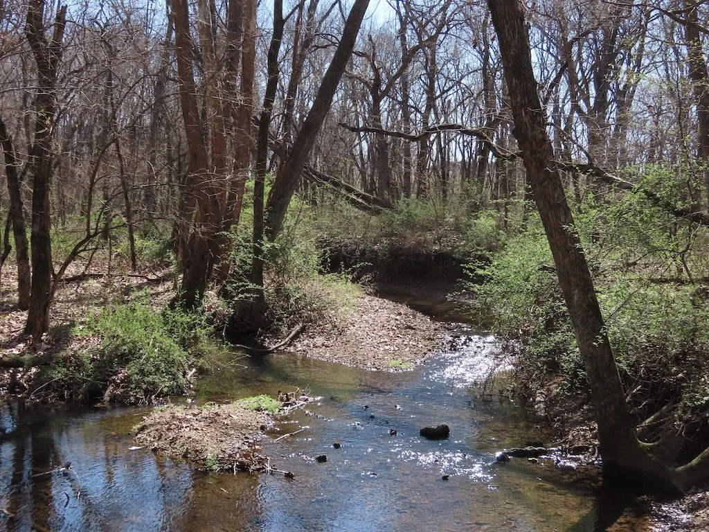 IMG_8790 2026 03.jPG