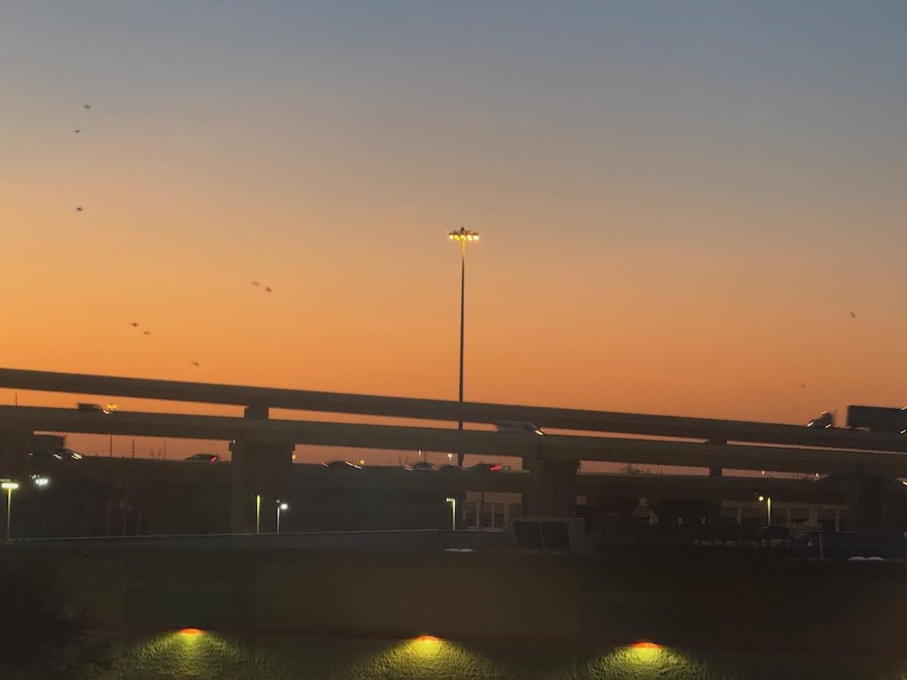 IMG_1931 2026 03.jpeg