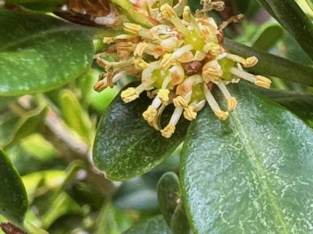 IMG_1800 2026 03.jpeg