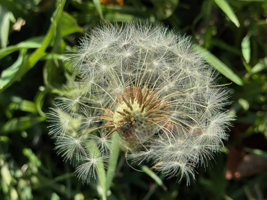 IMG_1841 2026 03.jpeg