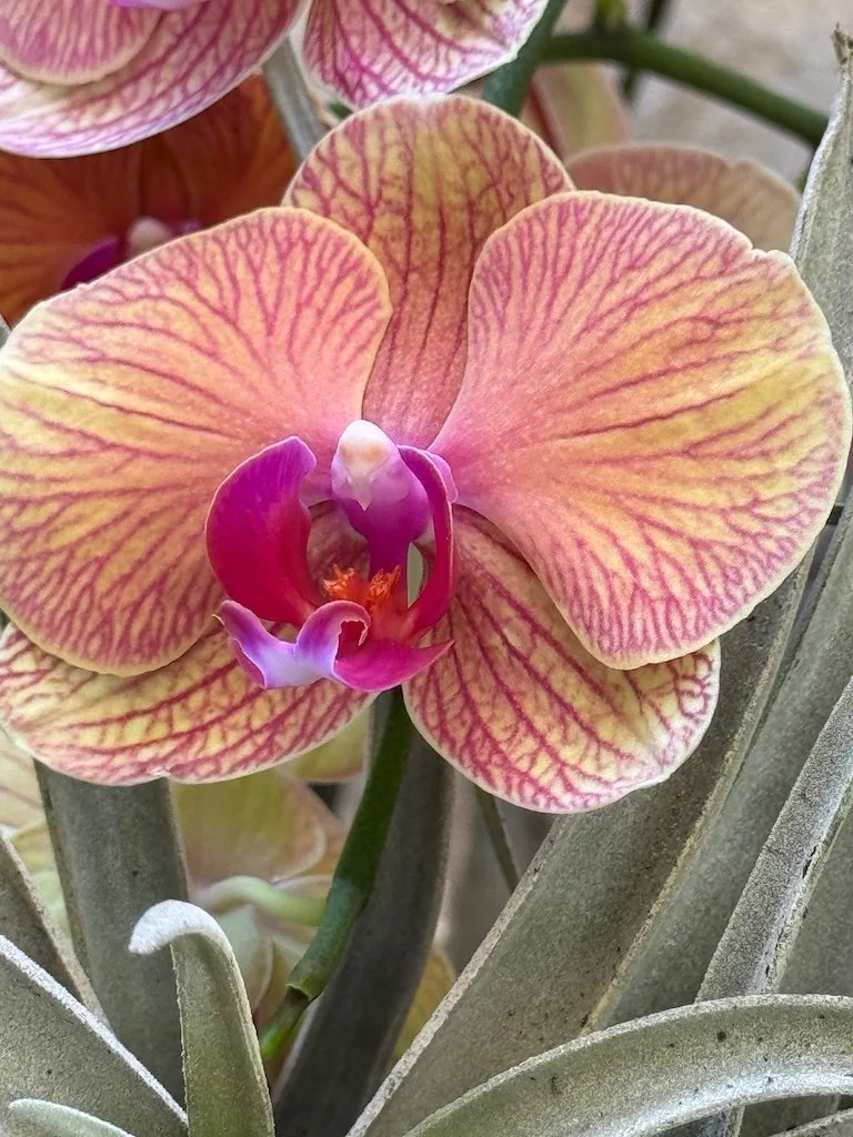 IMG_2002 2026 03.jpeg