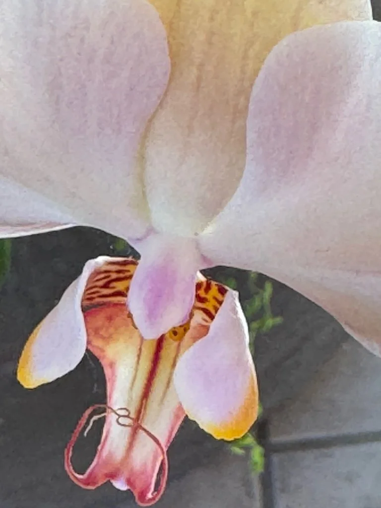 IMG_2019 2026 03.jpeg