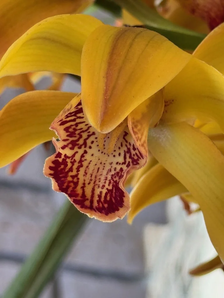 IMG_2021 2026 03.jpeg