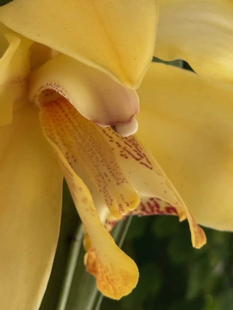 IMG_2022 2026 03.jpeg