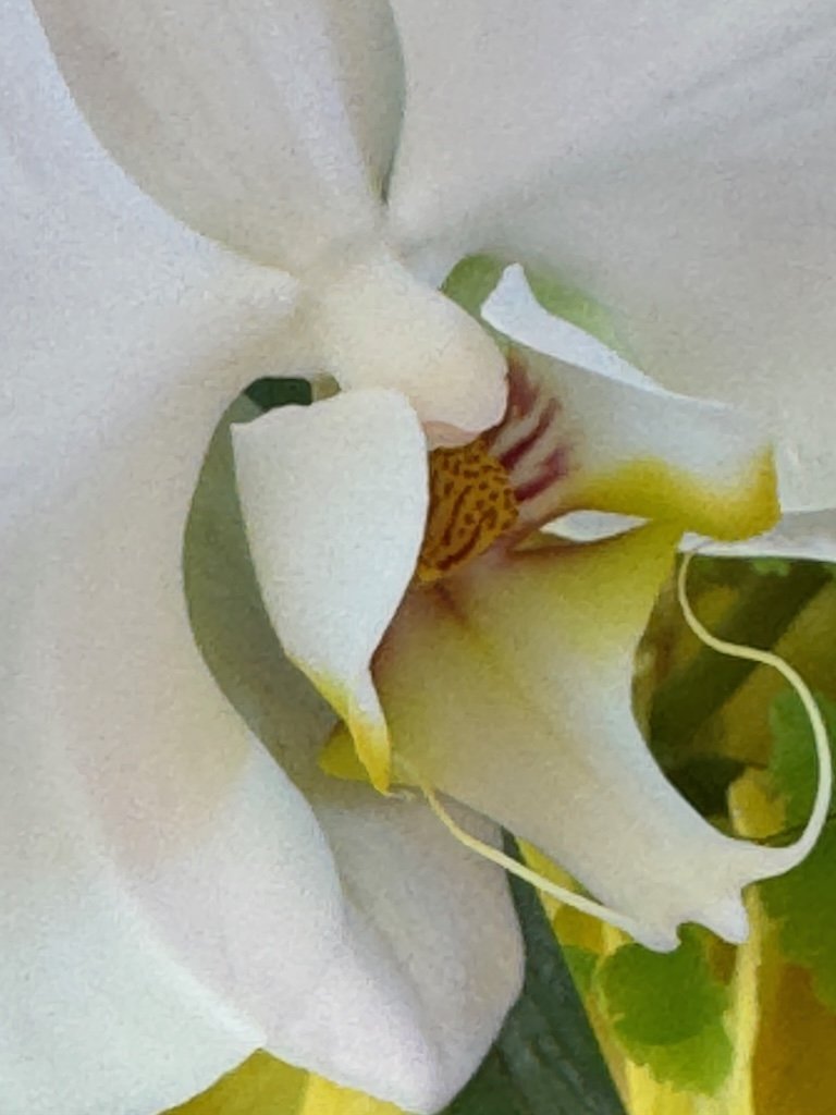 IMG_2025 2026 03.jpeg