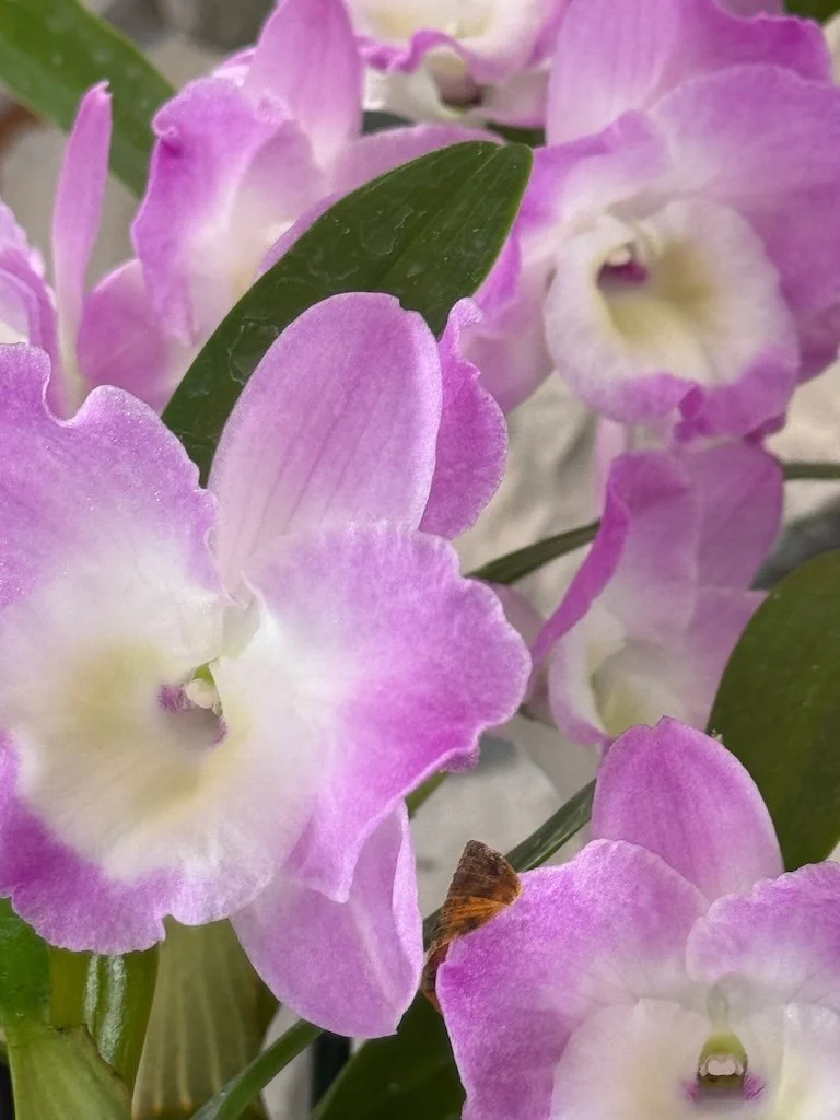 IMG_2012 2026 03.jpeg